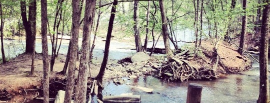 Sweetwater Creek State Park is one of Parks and Hikes.