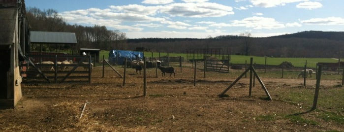 Sankow's Beaver Brook Farm is one of Foodie Finds.