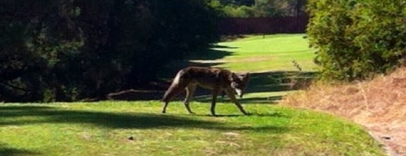 Roosevelt Golf Course is one of Posti che sono piaciuti a Dee.
