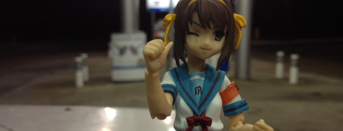 Chevron is one of The Travelogue of Haruhi Suzumiya 涼宮ハルヒの旅日記.