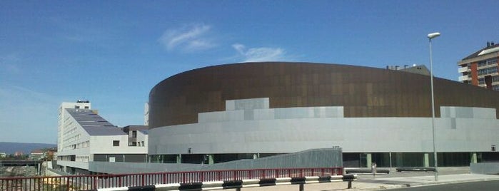 Iradier Arena (Plaza de Toros) is one of Orte, die Txemita gefallen.