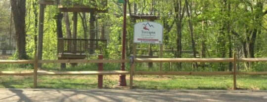 Terrapin Adventures is one of Parks & Playgrounds.