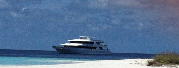 Carpe Vita Boat is one of Malediven.