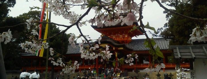 Iwashimizu Hachimangu Shrine is one of 隠れた絶景スポット.