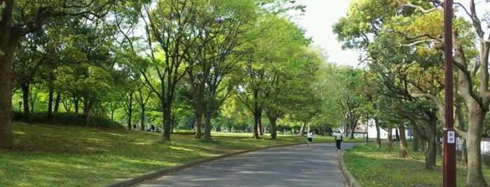 Kameido Chuo Park is one of 東京都立の公園・庭園.
