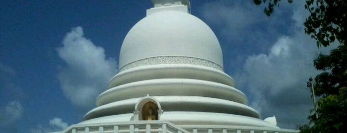 Peace Pagoda is one of Сергейさんのお気に入りスポット.