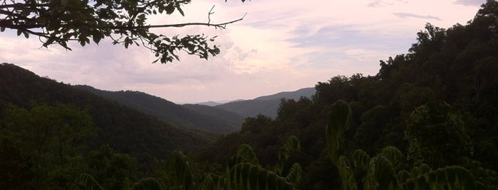 Whiteoak Canyon Falls is one of Best swimming holes across the USA.