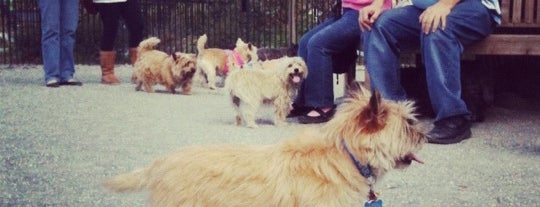 Hamilton Park Small Breed Dog Run is one of Gespeicherte Orte von New York.