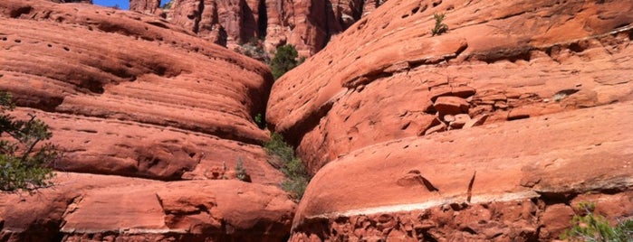 Sedona Red Rocks is one of Tempat yang Disimpan Jennifer.