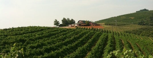 Carter Mountain Orchard is one of Pumpkin Patches & Apple Orchards.
