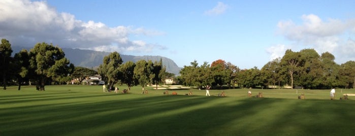 Princeville Makai Golf Club is one of Golf in Kauai.