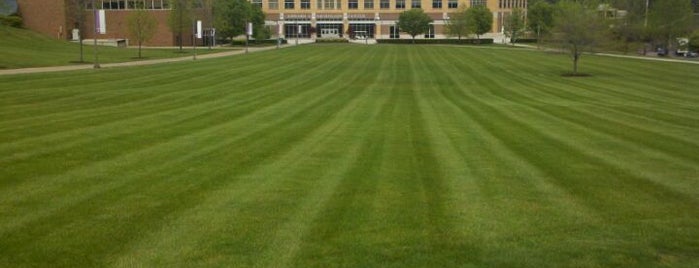 Nicholson Lawn is one of Scenic Venues for Your Grad Pic.