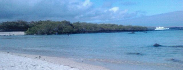 Playa de los Alemanes is one of Equateur.