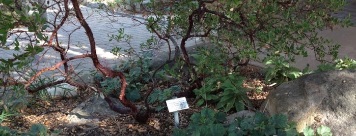 The Santa Barbara Botanic Garden is one of Los Ángeles.