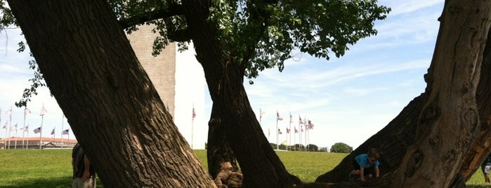 Leaning Tree is one of My favorite places.