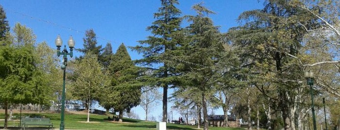 Andrews Park is one of Vacaville's Great Outdoors.