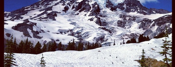 Mount Rainier National Park is one of National Recreation Areas.