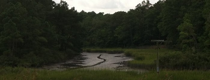 Virginia Aquarium Woodland Retreat is one of Virginia Beach To-Do.