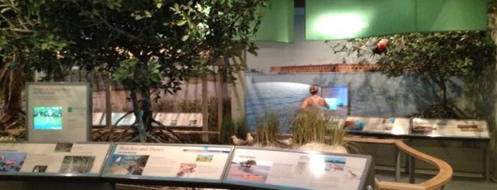 Florida Keys Eco-Discovery Center is one of Kimmie: сохраненные места.