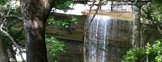 Clifty Falls State Park is one of Tempat yang Disukai Emyr.