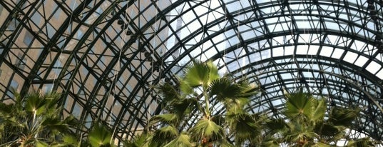 Winter Garden Atrium is one of Culture NYC.