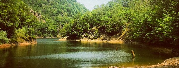 Lacul Tarnița is one of Posti che sono piaciuti a Darius.