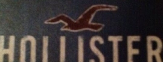 Hollister Co. is one of "Tu parli il Pradese?".