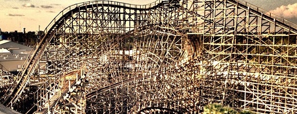 Gwazi is one of Lugares favoritos de Jose Fernando.