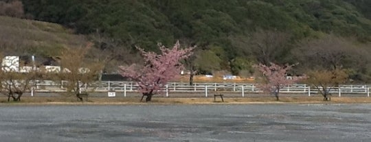 Funagira Dam is one of 国道152号.