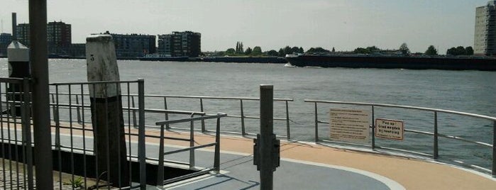 Waterbus halte Dordrecht Hooikade is one of Dordrecht Watersportstad!.