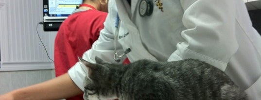 Lefferts Animal Hospital is one of Lugares favoritos de Manny.