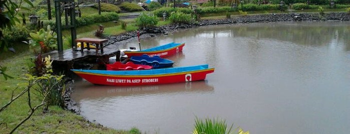 Liwet Pak Asep Stroberi 2 is one of Kadungora Favorite Place.