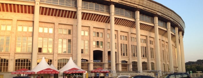 Luzhniki Stadium is one of Great Stadium.