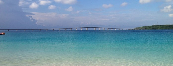 Yonaha Maehama Beach is one of ラムサール条約登録湿地(Ramsar Convention Wetland in Japan).