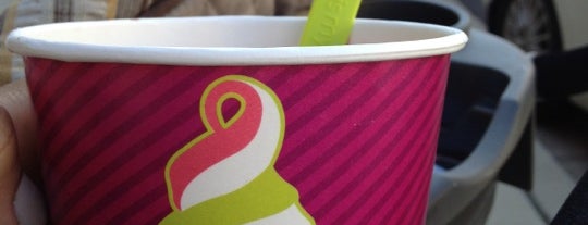 Menchie's is one of Froyo Annapolis.