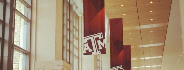 The 12th Man Hall is one of What to see in the new MSC.