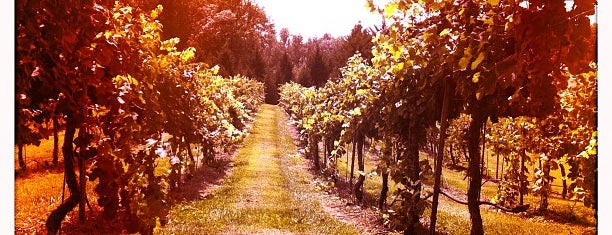 Keswick Vineyards is one of Locais curtidos por Doug.