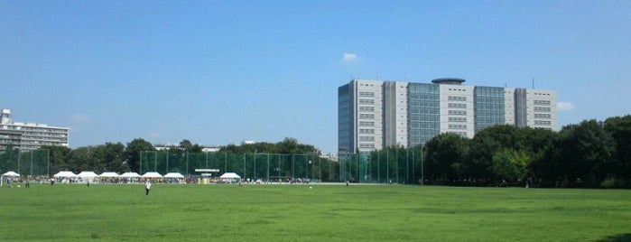 Musashino Chuo Park is one of Toyokazu'nun Beğendiği Mekanlar.