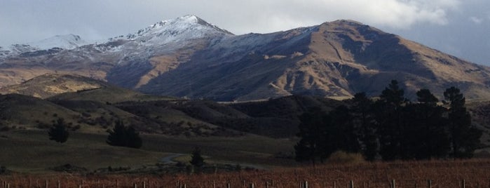 Peregrine Wines is one of Things to do in New Zealand.