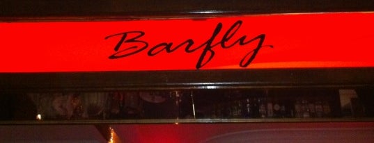 Barfly is one of Munich Bars.