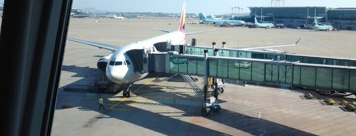 Bandar Udara Internasional Incheon (ICN) is one of Korea Swarm Venue.