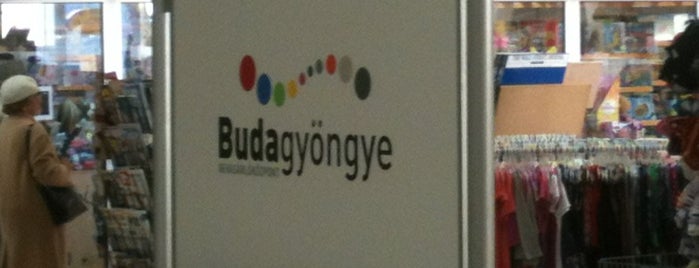 Budagyöngye is one of Expat hangouts in Budapest.