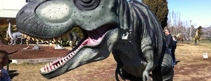 National Dinosaur Museum is one of Australia.