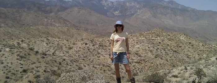 palm springs indian canyon Preserve is one of back to nothingness, like a week in the desert.