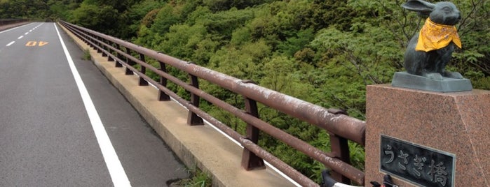 うさぎ橋 is one of 日本の名橋999選その１.