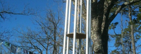 World's Largest Tuned Musical Wind Chime is one of World's Largest ____ in the US.