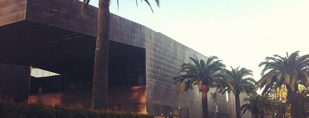 de Young Museum is one of Best spots of sunny SanFrancisco, CA!.