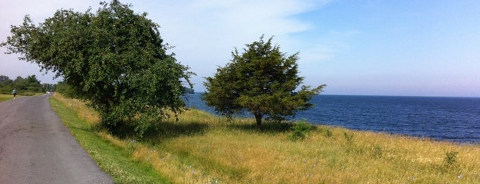 Sackets Harbor Battlefield is one of Crispin : понравившиеся места.