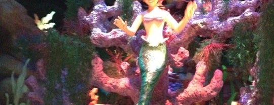 The Little Mermaid: Ariel's Undersea Adventure is one of Rides I Done...Rode.