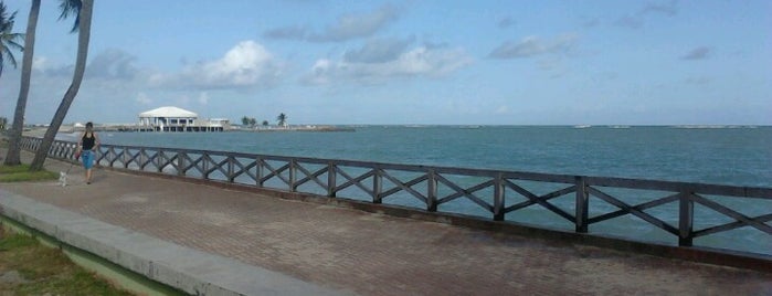 Praia de Sete Coqueiros is one of Lugares guardados de Fabio.